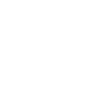 Skanwell Logo mit Wellenlinien